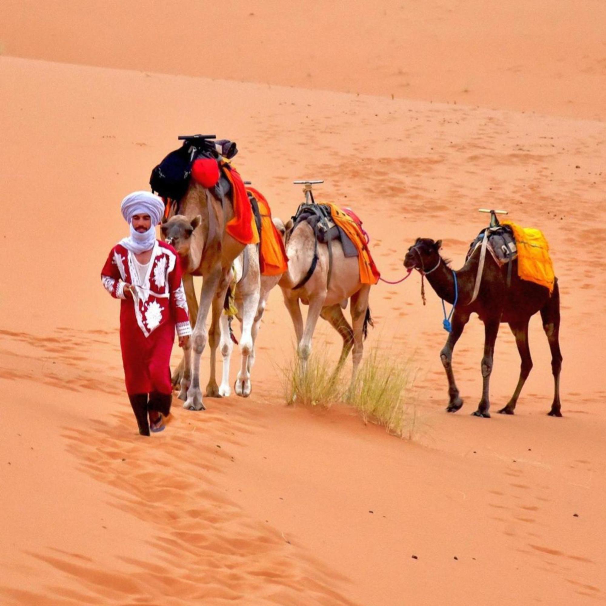 Elegant Luxury Camp Hotel Merzouga Exterior photo